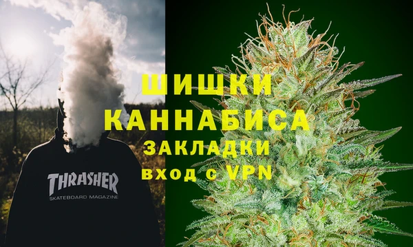 твердый Краснослободск