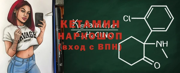 твердый Краснослободск