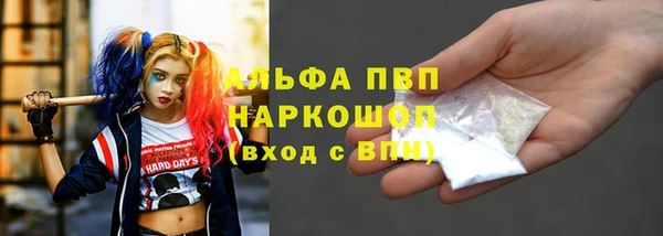 твердый Краснослободск
