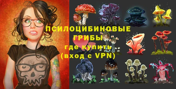 твердый Краснослободск
