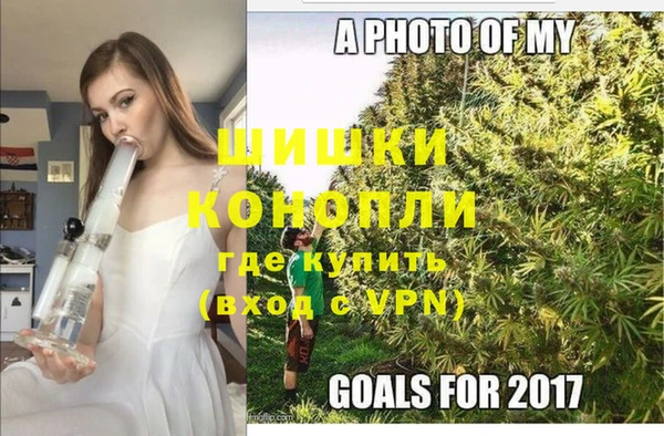 твердый Краснослободск