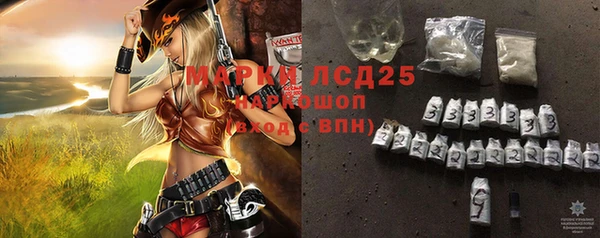 твердый Краснослободск