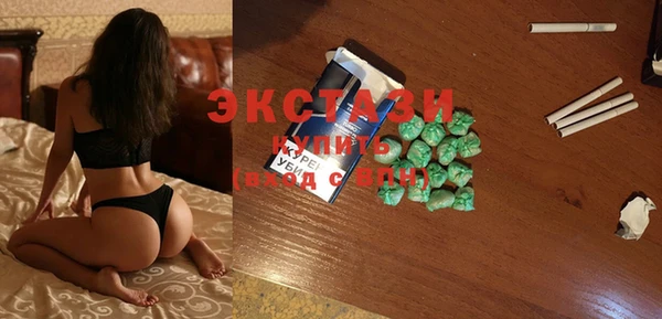 твердый Краснослободск