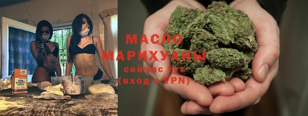 твердый Краснослободск