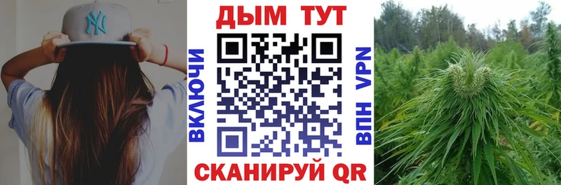 Купить закладки  Сергач  Канабис индика 